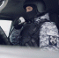 18 правонарушений пресекли сотрудники вневедомственной охраны Росгвардии за последнюю неделю в Костроме - Росгвардия