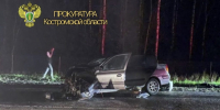 Виновный в смерти двух пенсионеров на трассе костромич предстанет перед судом - Интернет-телевидение Логос