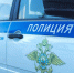 Лжеплемянница выманила у костромички миллион рублей за несуществующую посылку с подарком - Интернет-телевидение Логос