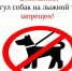 Лыжную трассу превратили в туалет для собак в Костромской области - Интернет-телевидение Логос