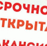 Внимание! Срочная вакансия! - Управление ветеринарии