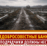 Недобросовестные банки и подрядчики должны нести коллективную ответственность! - Справедливая Россия