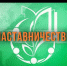 О проведении конкурса наставников - Департамент лесного хозяйства