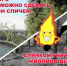 ОГКУ «Нейское лесничество» - Департамент лесного хозяйства