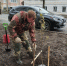 По предложениям костромичей в план озеленения города включены дополнительные территории - Город Кострома