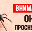 ОГКУ «Судиславское лесничество» - Департамент лесного хозяйства