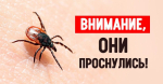 ОГКУ «Судиславское лесничество»