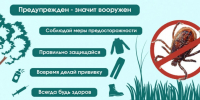 Внимание! Клещи проснулись раньше срока! - Департамент лесного хозяйства