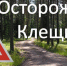 Вакцинирован – значит защищен! - Департамент лесного хозяйства