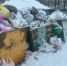 Костромские помойки попали в черный список инспекторов - Kostroma.Today