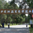 В костромском парке «Берендеевка» проведут акарицидную обработку - ГТРК Кострома