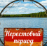 Начался нерестовый период – сохраняем водные биоресурсы - Департамент природных ресурсов и охраны окружающей среды