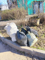 Сотрудники департамента приняли участие в субботнике.