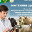 Jx7oQ9C web - Костромская ГСХА