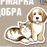 Костромичи могут помочь бездомным животным на «Ярмарке добра» - Город Кострома