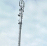 Билайн усилил сеть 4G еще в семи деревнях Костромской области - Kostroma.Today