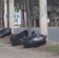 Болоховец и мусор.mp4_snapshot_00.44.954.jpg - ГТРК Кострома