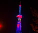Костромская телебашня подарит учителям цифровые цветы